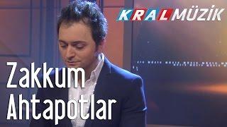 Kral Pop Akustik - Zakkum - Ahtapotlar