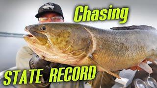 INSANE BOWFIN Fishing!!! Part 2