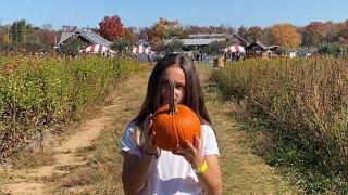 Pumpkin picking at Terhune Orchards Princeton New Jersey