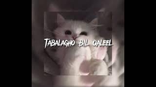 Tabalagho bil Qaleel (nasheed) - speed up | instagram: jxvnav