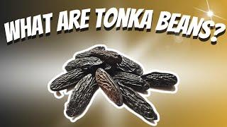 What Are Tonka Beans?