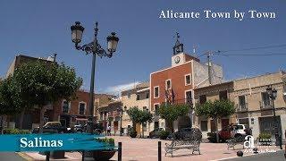 SALINAS. Alicante town by town