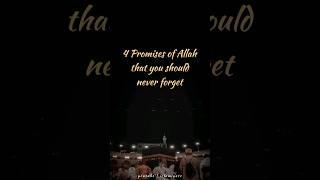 4 Promises of Allah that you should never forget #shorts #islamigate