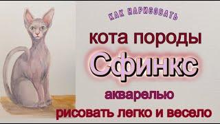 Кот породы Сфинкс. Как нарисовать акварелью и акварельными карандашами