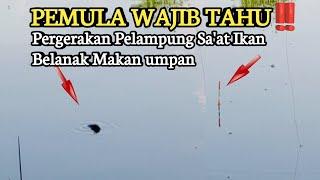 PERHATIKAN PELAMPUNG‼️cara mancing Belanak Agar tidak Boncos#mancingbelanak