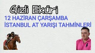 12 HAZİRAN 2024 ÇARŞAMBA İSTANBUL AT YARIŞI TAHMİNLERİ GİZLİ EKÜRİ KANALİMİZDA