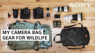 What's in My Camera Bag 2020: Wildlife Photography Gear | Colby Brown | Sony Alpha