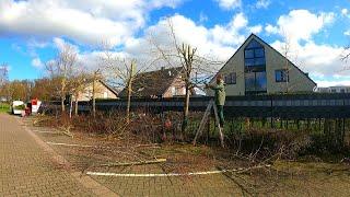 SATISFYING Pruning TALL Trees and SHREDDING With a Small Wood Chipper