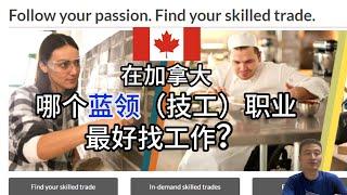 加拿大哪个蓝领职业最好找工作 In Canada, which trades is best for you?