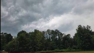 Planting in a Storm! GreenStalk Garden Awesome Vertical Planter Strawberry Tower Flower Farmer