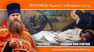 ПРОПОВЕДЬ. 5-я Великого поста, прп. Марии Египетской, прот. Владимир Колосов, 2025