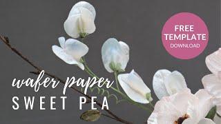How to make Sweet Pea Flowers for cake decorating using wafer paper | Modern Cakes and Florals
