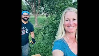 Our first Pomegranate Season and Harvest-Small Farm Start up-300 lbs “Wonderful” Pomegranates