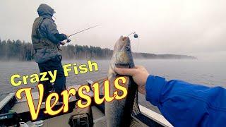 Crazy Fish VERSUS - Рыбалка на спиннинг 2021 года. Первые впечатления