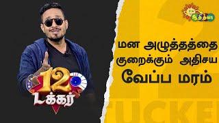 மன அழுத்தத்தை குறைக்கும் அதிசய வேப்ப மரம் | 12 Tucker | Adithya TV