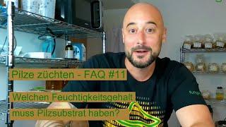 Pilze züchten - Welchen Feuchtigkeitsgehalt muss Pilzsubstrat haben? Pilzzucht FAQ #11