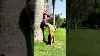 #yoga #yogaworkout #handstandworkout #fitness #yogafit #viral #trending #trendingshorts #shorts #om