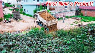 First New Project! Landfill in Pond With Bulldozer D20P Pushing & Truck 5T Dropping Soil Into water