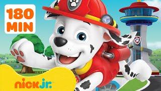 PAW Patrol Marshall's Most Daring Rescues!  3 Hours | Nick Jr.