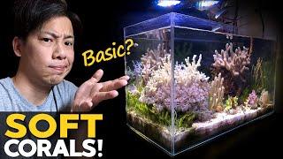 My BASIC Reef Tank  Soft Corals, Macro Algae, Mangrove Tank Update!! (details in desc)