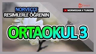 Norveççe Resimlerle Öğrenin | Norveççe Kelime Bilgisi Ortaokul 3 | Golearn