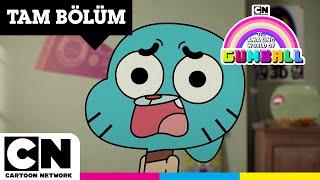 GUMBALL | Kökler | TAM BÖLÜM | @cartoonnetworkturkiye