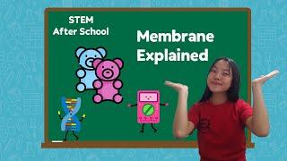 What is Osmosis? [Membrane Explained!]
