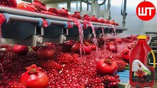 How Pomegranate Juice Is Made In Factory | Fresh Pomegranate Juice Factory Process