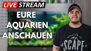 Ich reagiere auf eure Aquarien und Terrarien! Livestream