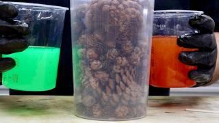 WoodTurning - The Pine Cone Surprise