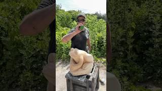 Music to chainsaw carving a wooden frog #chainsawart #spirit #wood #carving #chainsawcarving #art