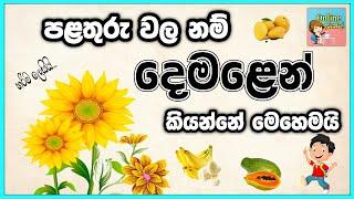 පළතුරු වලට දෙමළෙන් කියන විදිහ | Demala | tamil language learning | online iskole