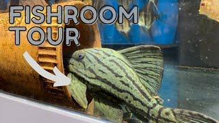 Awesome Exotic Fish Tour!!!