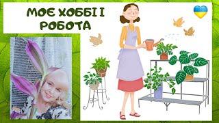 Мої кімнатні рослини на кухні 12 березня 2024 року/Зелена стіна/Багатоповерхове рослинне вікно