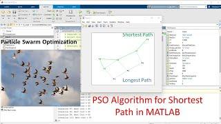 Particle Swarm Optimization (PSO) in MATLAB || Shortest Path in MATLAB using PSO