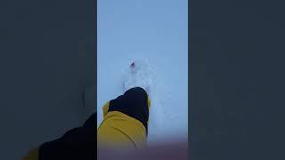 #Snowshoeing Slow Motion in Powder Snow #Shorts