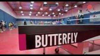 We Are Butterfly - Table Tennis America