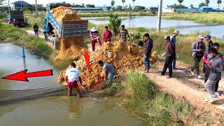 Starting New Project Landfilling Flooded area using Bulldozer D20P and Dump truck 5T unloading soil