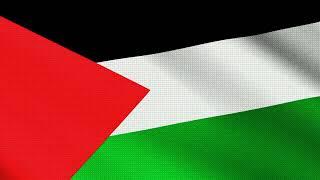 Flag of Palestine // Palestiina lipp