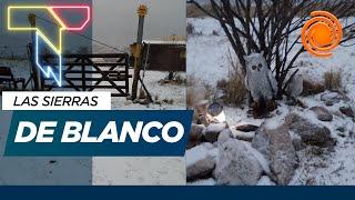 ¡LA NIEVE LLEGÓ A CÓRDOBA! | Los mejores videos