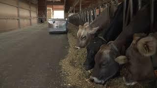 DeLaval OptiDuo - Der Futterzuschieber mit Doppelfunktion