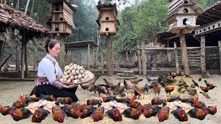 Zon sells wild chickens, vang hoa, king kong amazon