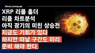 [Pantogragh] XRP 리플홀더 리플은 현재 중요한 구간을 지나고 있다.