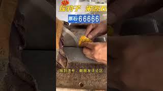 幾張入手的，留不留？ #天然翡翠 #翡翠珠寶 #翡翠原石 #翡翠 #珠寶 #手鐲 #玉鐲子 #飾品 翡翠 珠寶直播 │ 翡翠 直播 │ 玉 翡翠戒面 │ 翡翠 玉手镯 │ 翡翠 玉石 #翡翠 珠寶