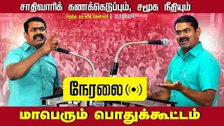 நேரலை 13-11-2024 சாதிவாரிக் கணக்கெடுப்பும், சமூக நீதியும்! மாபெரும் பொதுக்கூட்டம்  வாசுதேவநல்லூர்