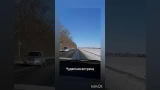 Встреча на трассе