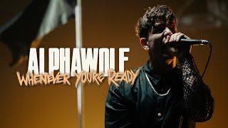 Alpha Wolf - Whenever You're Ready