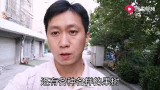 小县城这种小区一年物业费仅360块，绿化好，间距大，你会选择吗