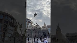 Beauty of Madina ️ #madina #viralvideo #shorts #youtubeshorts