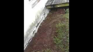 Foundation Repair Orang FL | Lake FL